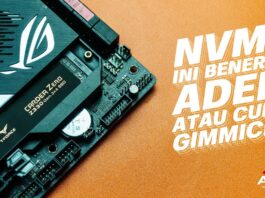 SSD INI ADEMNYA BENERAN ATAU CUMA GIMMICK ? | Review NVMe SSD TEAM CARDEA ZERO Z330