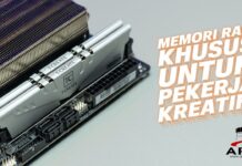 RAM ANTI REWEL BUAT PARA PEKERJA KREATIF | Review TeamGroup T-Create Clasic 10L 16GB 3200MHz