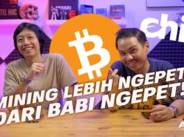 SPEKULASI CHIA COIN , SHORTAGE SSD & HDD DAN JUGA BABI NGEPET | NGISENG SEK QnA Cryptocurrency