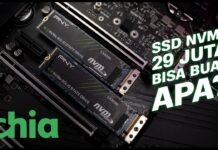 REVIEW SSD NVMe DENGAN TBW TERTINGGI SAAT INI !!! | CHIA Mining feat PNY LX SERIES