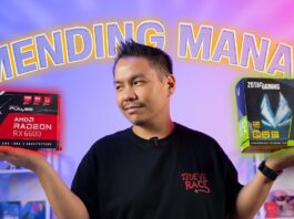 Mending RX 6600 apa RTX 3060 ?! BUAT YANG MASIH BINGUNG NYARI VGA!