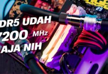 Tonton Ini Dulu Sebelum Upgrade RAM DDR5 Kalian! Ft. Kingston FURY Renegade RGB DDR5 7200 MHz White